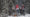 natale con i tuoi capodanno con chi vuoi - Illustration